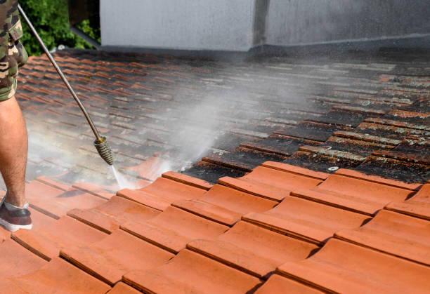 Best Deck Cleaning Services  in Odenville, AL